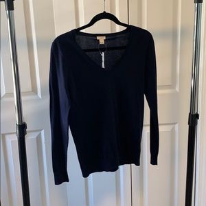 NWT J Crew V neck sweater